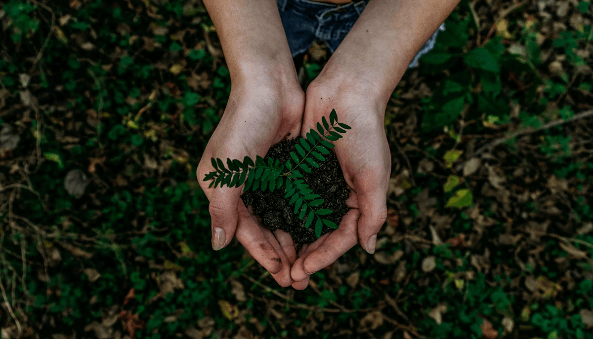 The Future of Renewable Technology in Australia